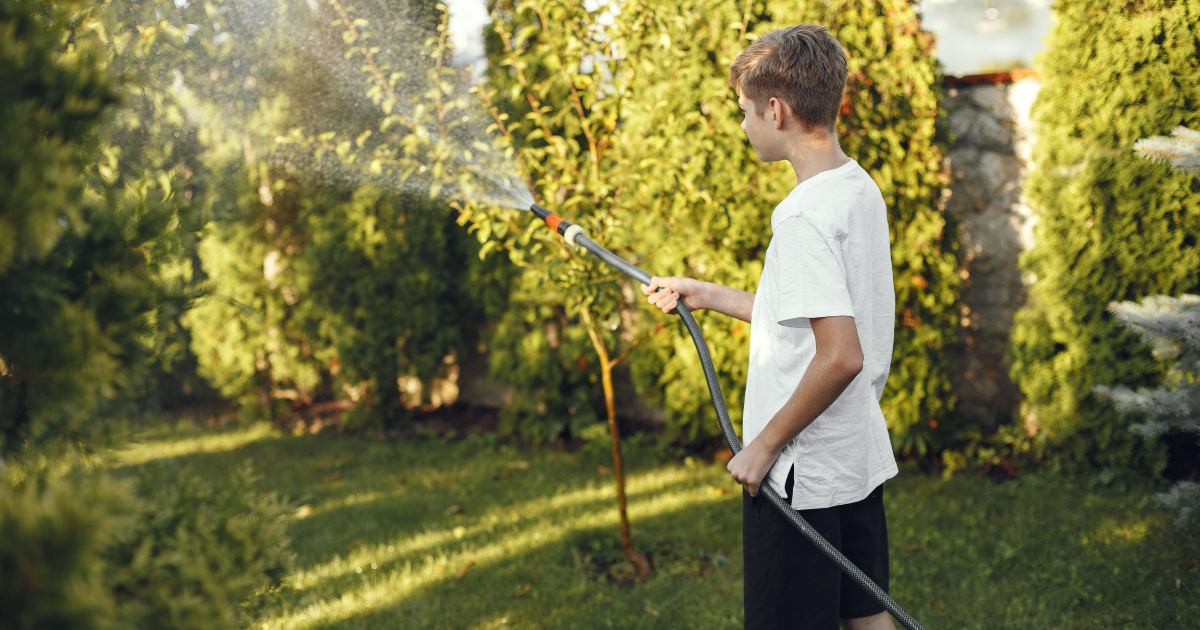 Junger Junge bewässert mit einem Gartenschlauch Pflanzen im sonnigen Garten, umgeben von grünen Bäumen und Rasen.