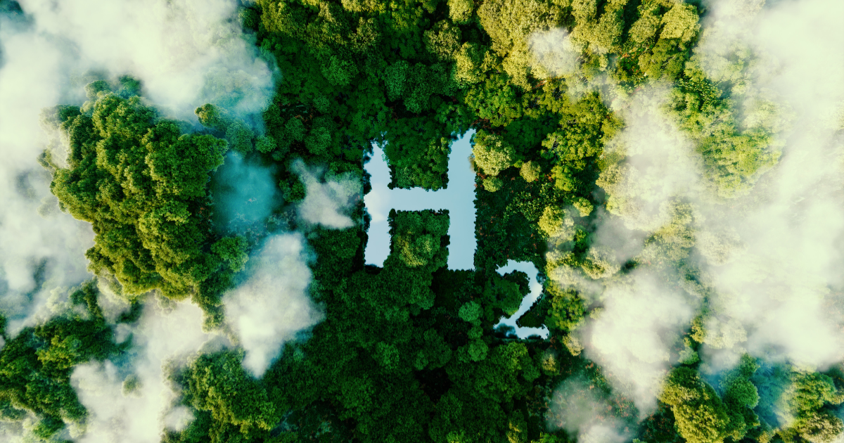 Luftaufnahme eines dichten grünen Waldes, in dem die Form „H₂“ als helle Freifläche sichtbar ist, umgeben von Nebel- oder Wolkenschwaden.