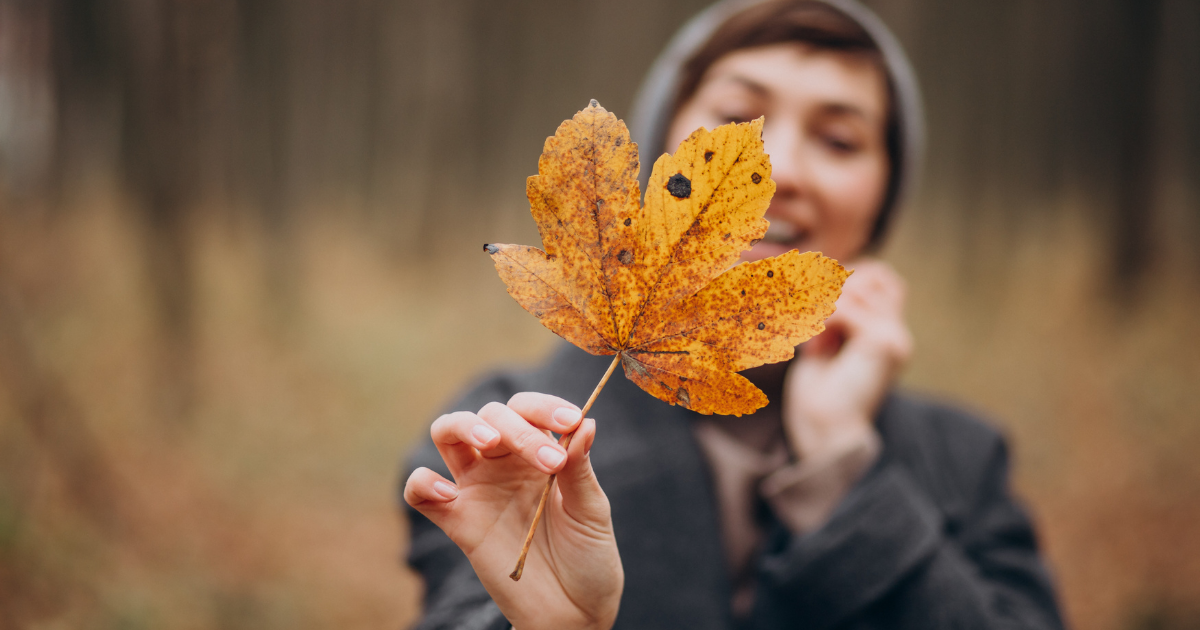 Eine Person hält ein großes, orange-gelbes Herbstblatt in den Vordergrund der Kamera. Der Hintergrund ist unscharf, zeigt aber einen Wald mit herbstlichen Farben. Die Person trägt eine graue Jacke und eine Mütze und lächelt leicht.