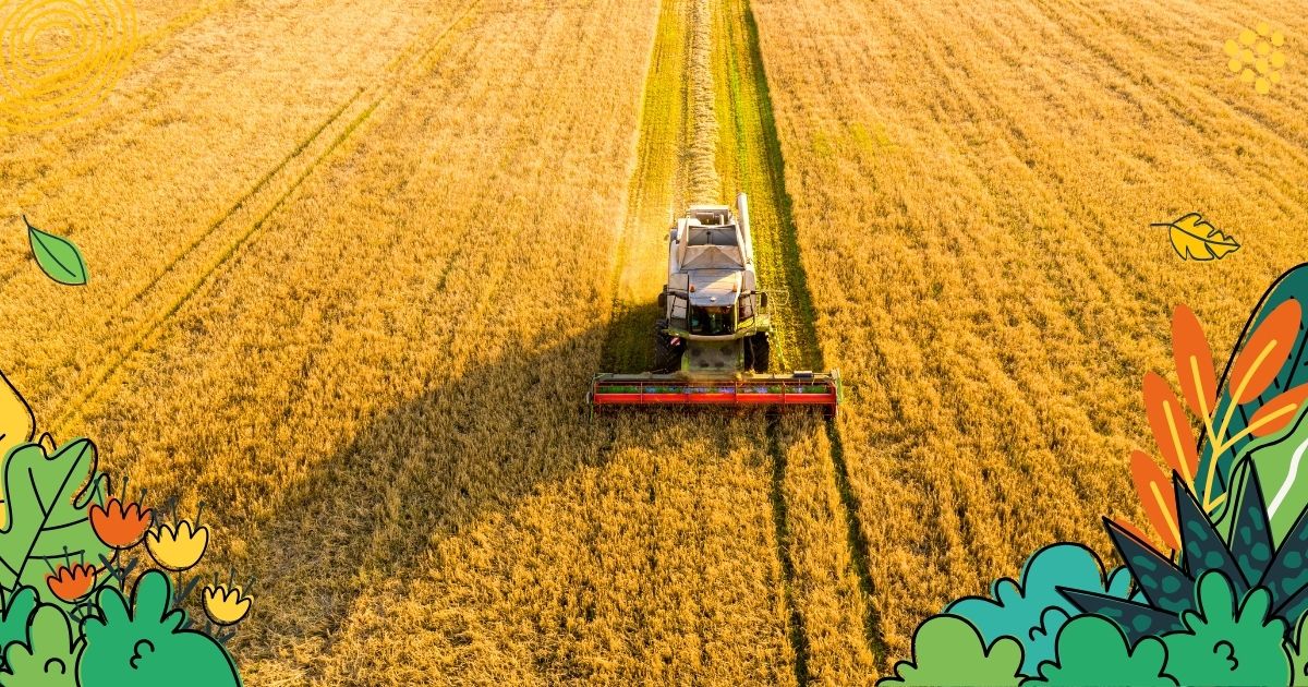 Lebensmittelindustrie Nachhaltigkeit