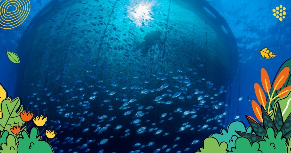 Nachhaltige Fischzucht