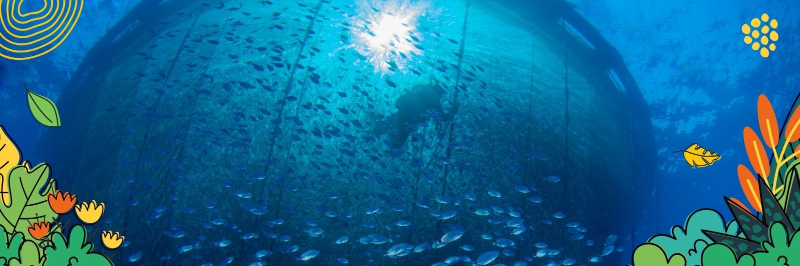 Nachhaltige Fischzucht