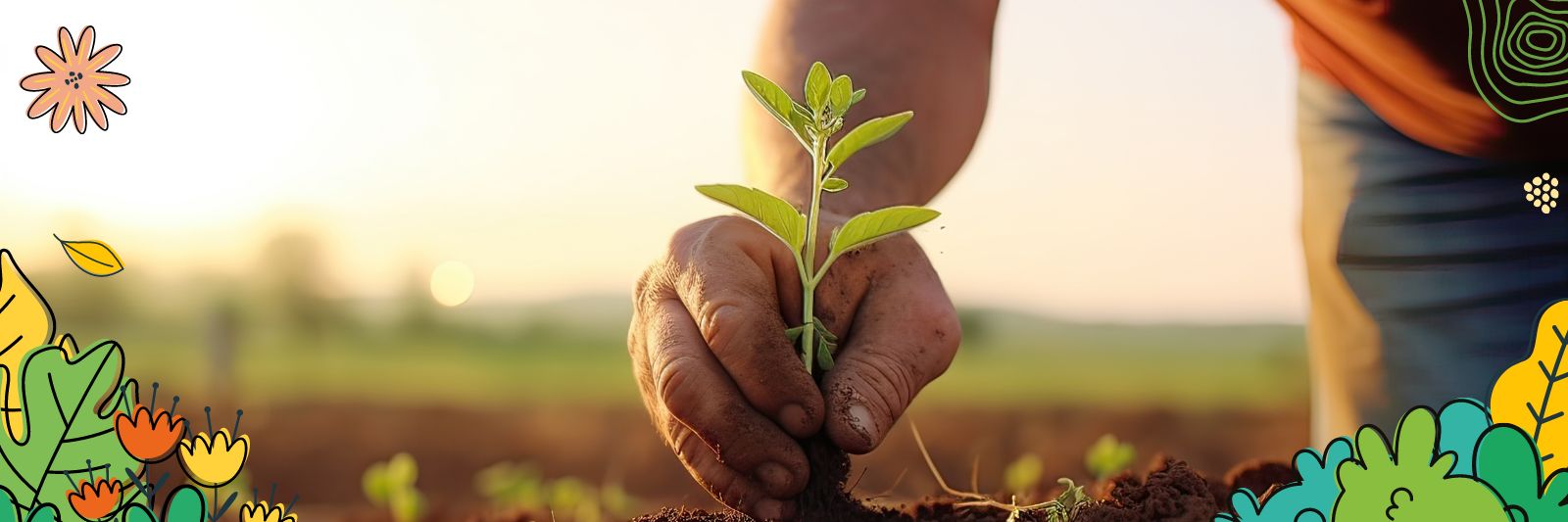 nachhaltige Landwirtschaft