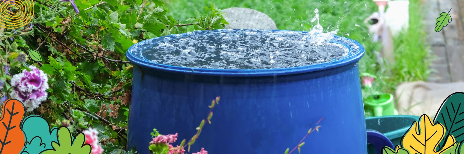 Regenwasser nutzen