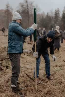 Unsere Mitarbeiter pflanzen Bäume im Tele2 Wald