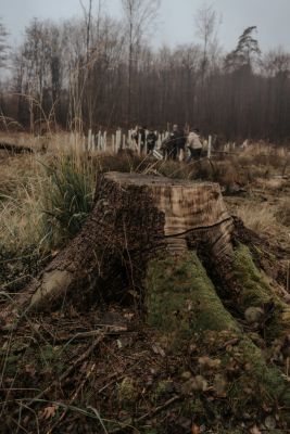 Unser Team beim Bäume pflanzen